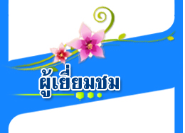 Website Counter